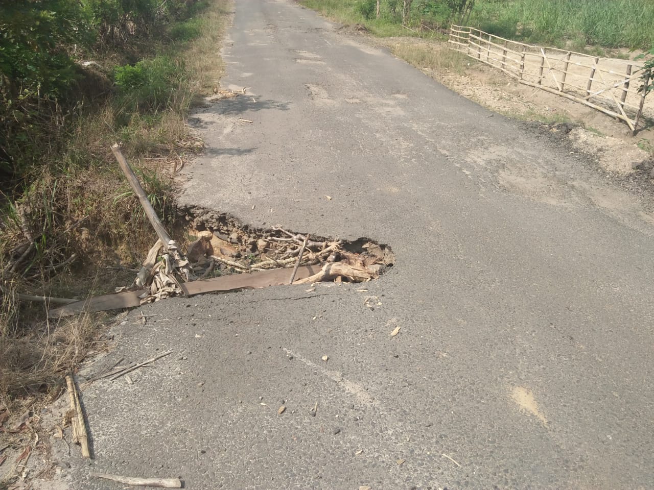 Lubang Menganga di Tengah Jalan, Warga Minta Gubernur Percepat Realisasi Perbaikan Jalan di Bungamayang