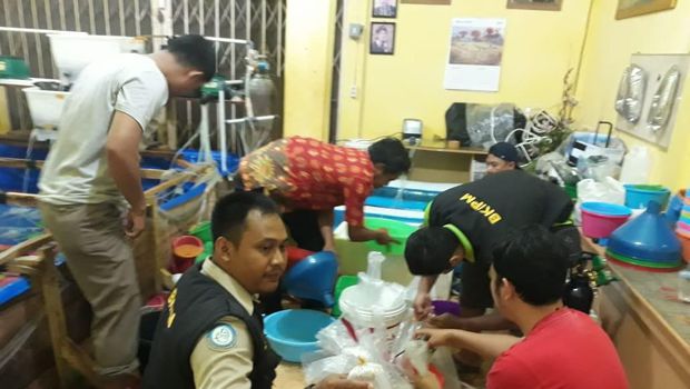 Gudang Penampungan Lobster Digrebek Tipidter Bareskrim Mabes Polri