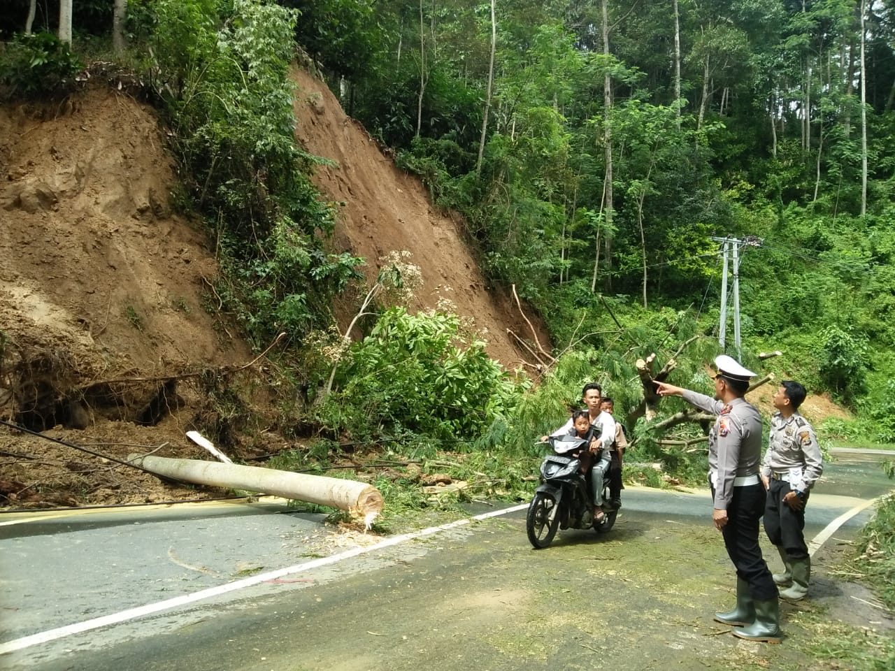 Jalinbar Ruas Pekon Sedayu Tertutup Longsoran Tebing dan Empat Tiang Listrik Roboh