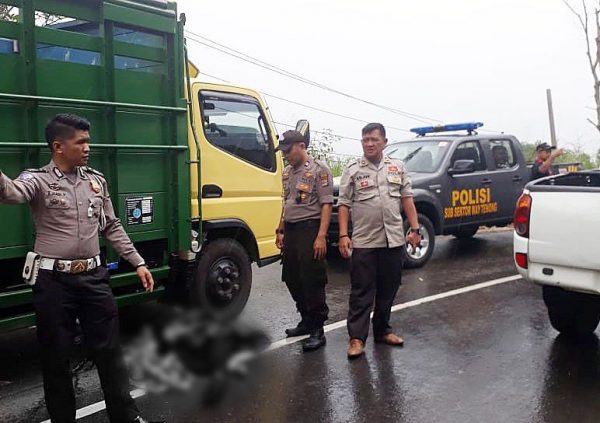 Pulang Dari Puncak Restarea Melisa Tewas Tergilas Truk di Jalan Nasional Airkeruh Sumberjaya