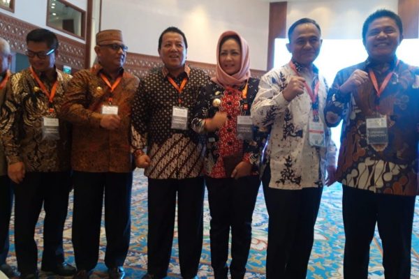 Gubernur Arinal Paparkan Delapan Kebijakan Pemprov Pada Konferensi Internasional IDF 2019