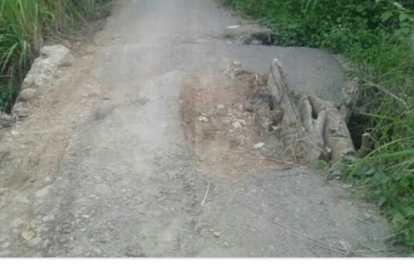 Realisasi Dana Desa di Desa Suka Mulya Sarat Penyimpangan