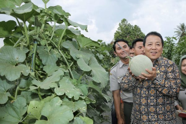Arinal Siap Jadikan Kartu Petani Berjaya Sebagai Pilot Project Nasional