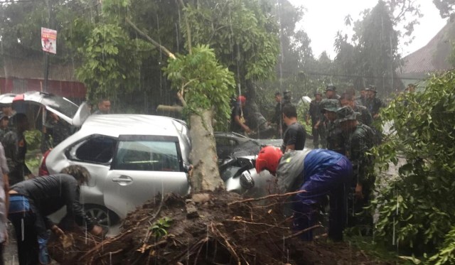 Puting Beliung Terjang Kota Bogor, Pohon Tumbang dan Jalan Ditutup