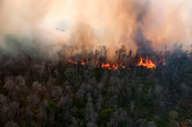 Asap Kepung Riau, Sumbar Hingga Jambi