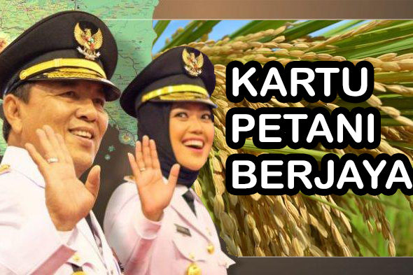 Jelang Launching Kartu Petani Berjaya, Nilai Tukar Petani Lampung Turun