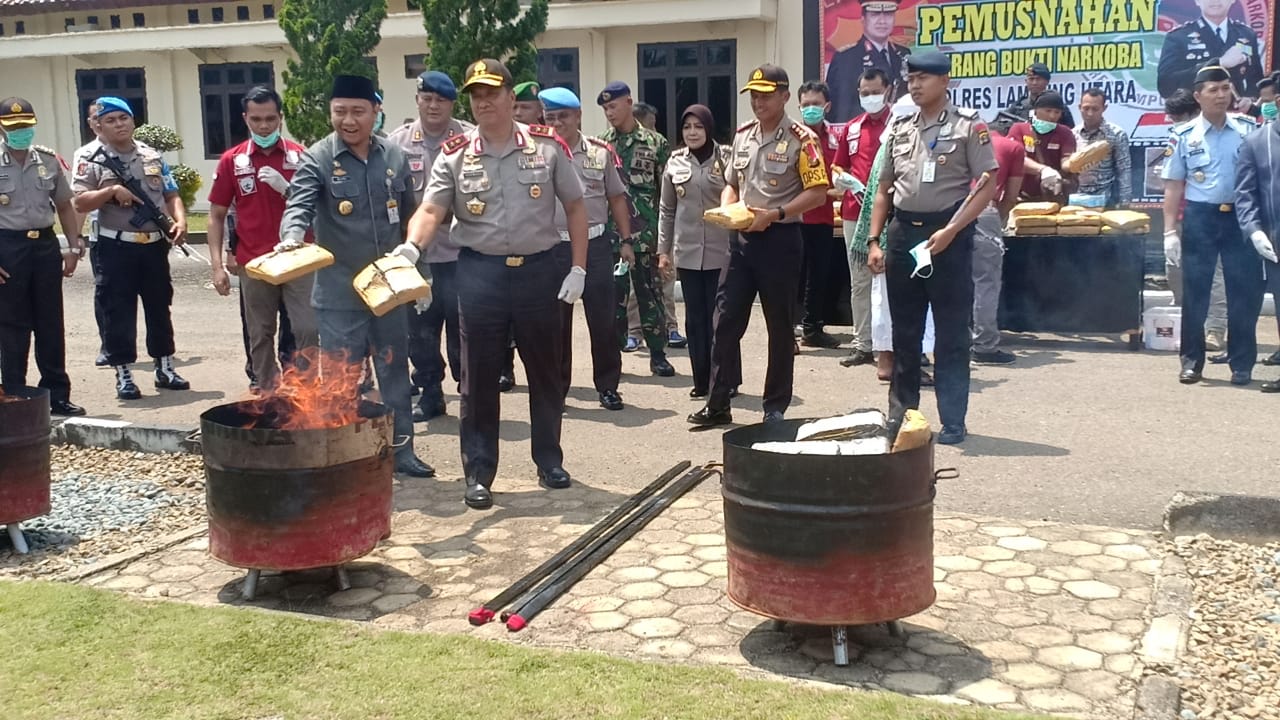 BB Ganja 57 Kg Dimusnahkan Polres Lampura
