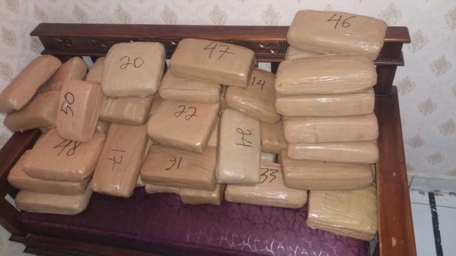 Subdit I Ditresnarkoba Polda Lampung Amankan BB Ganja 49,5 Kg di Panjang