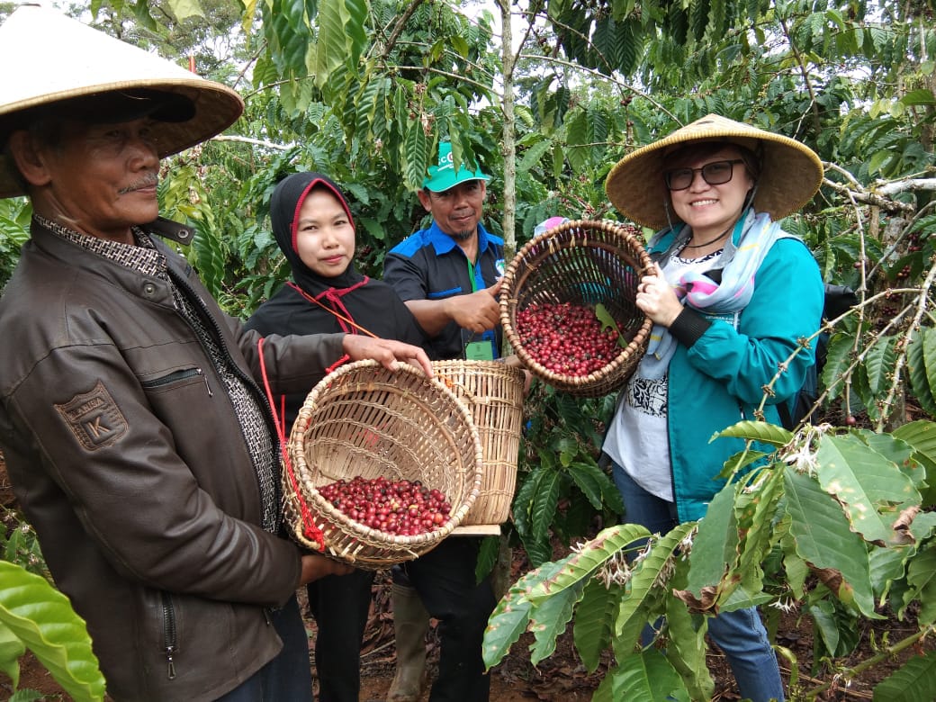 Balitbangda Tangkap Peluang Riset Pengembangan Kopi Robusta Berkelanjutan di Lambar