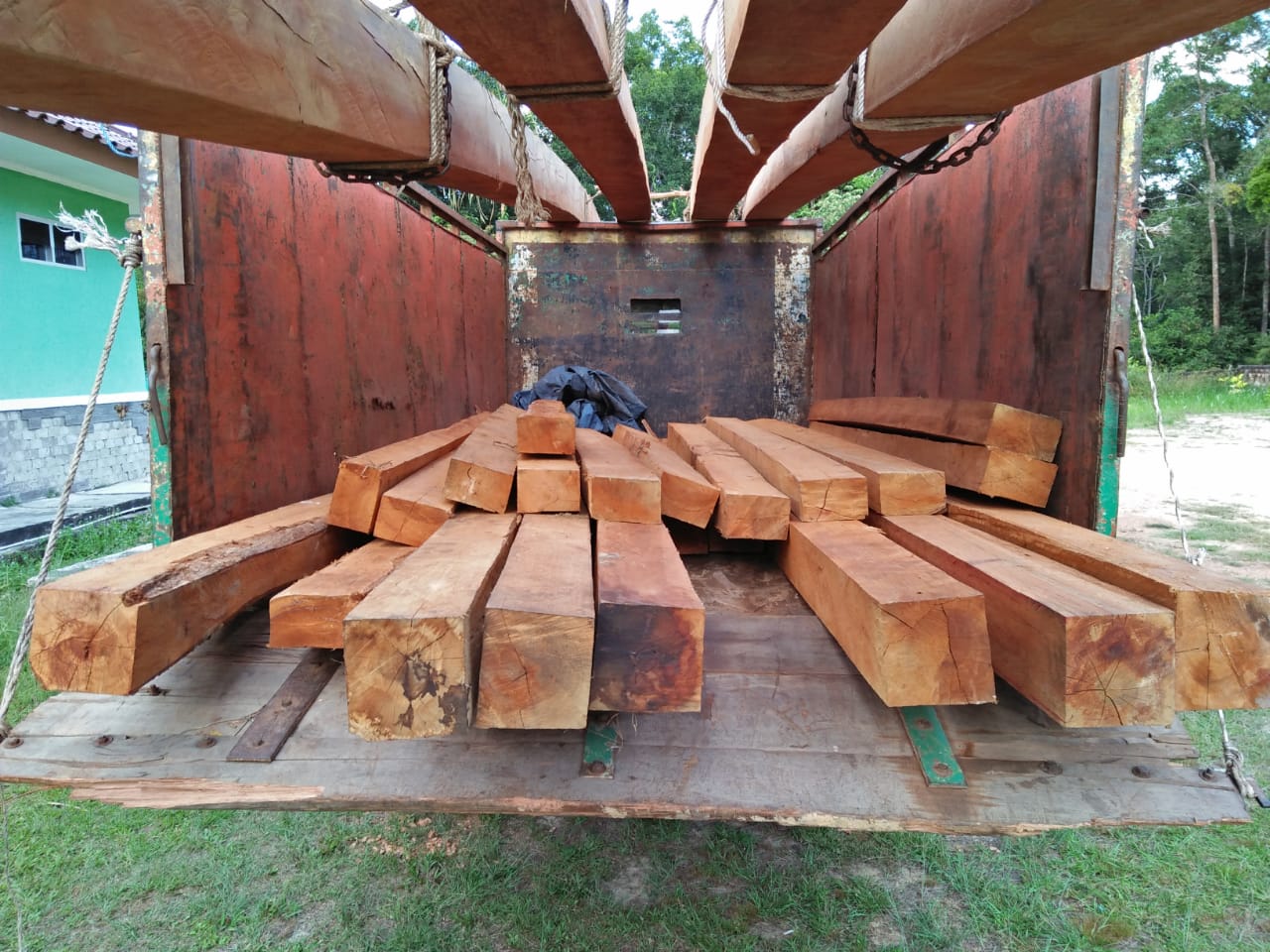 LSM Komplinas Minta Gakundu Usut “Cukong Besar” Dibalik Ilegal Logging Palembang