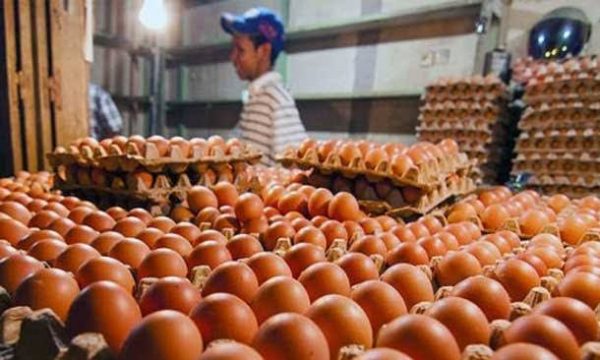 Kenaikkan Harga Telur Ayam Ras Dorong Inflasi 0,47 Persen di Bandar Lampung
