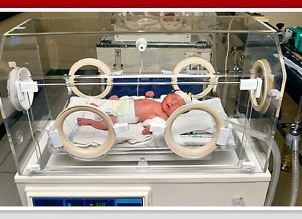 Petugas Medis Lalai, Bayi Dalam Inkubator Dikrubungi Semut di RSUD Lampung Barat