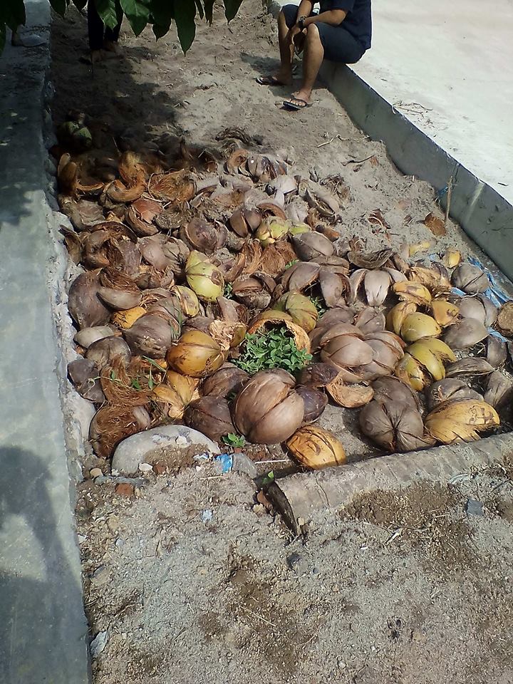 Bangunan Cor Beton di Desa Karang Rejo Kecamatan Way Smaka Dioplos Sabut Kelapa Dan Pasir Laut