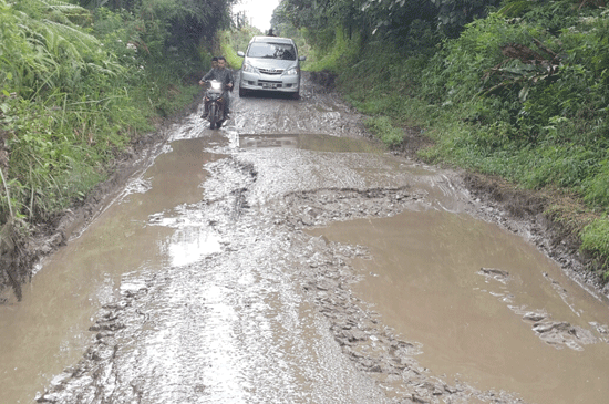 Warga Keluhkan Jalan Lintas Penghubung Tiga Kabupaten di Pesawaran Rusak Berat