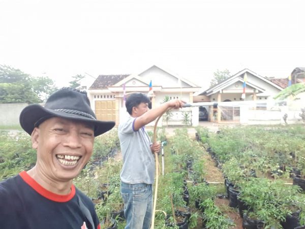 Bukit Rusak Zona Hijau Bandar Lampung Punah