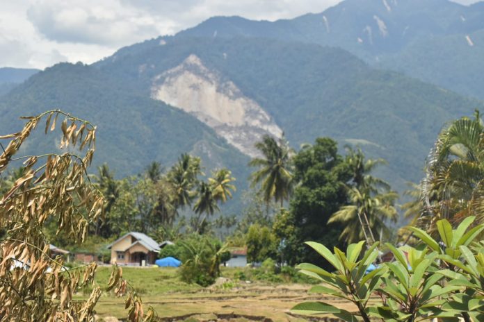 Korban Gempa Palu Rela Gadai Cincin Nikah, Demi Pertahankan Hidup