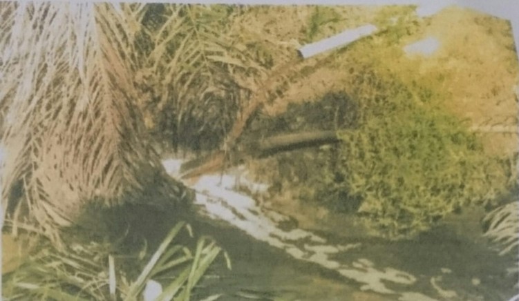 Buang Limbah Sembarangan, Pemilik PT JPN Bisa Dipidana dan Dikenakan Denda