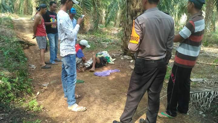 Penemuan Mayat di Peniangan Lampung Timur Menggegerkan Warga