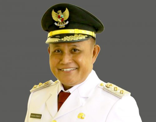 Pekan Depan Nanang Ermanto Jadi Bupati Lampung Selatan Hingga 2021
