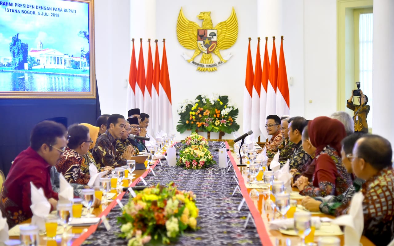 Presiden Ingatkan Pentingnya Sinergi Pemerintah Pusat dan Daerah