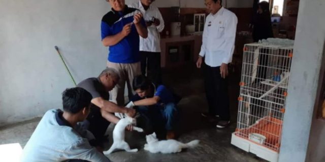Cegah Penyakit Rabies, Peternakan Lamsel Lakukan Vaksinasi Gratis Hewan Peliharaan