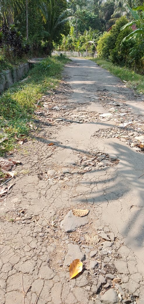 Warga Desa Krinjing Dambakan Jalan Kampungnya Diperbaiki