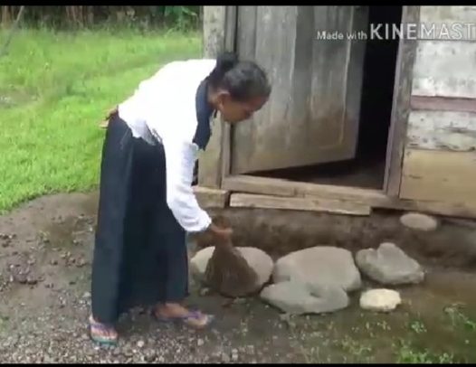 Janda Tua Darwiyah, Si Miskin Yang Belum Tersentuh Program Pemda Tanggamus?