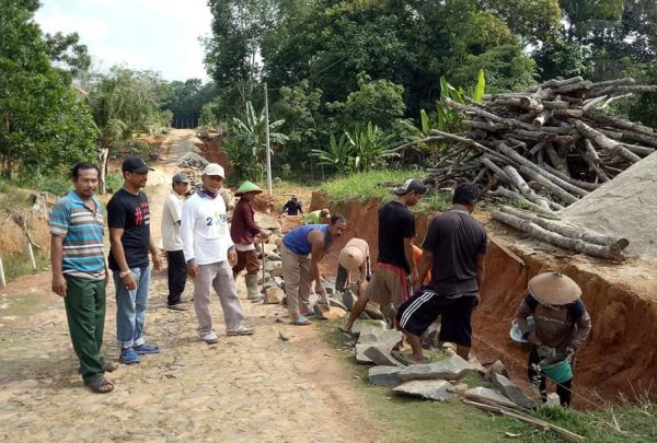 Tahap I DD Desa Hadi Mulyo Fokus Perbaikan Drainase, Gazebo dan Gorong gorong