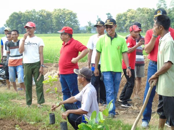 Endro S Yahman Pohon Bisa Dimanfaatkan Sebagai Penghijauan