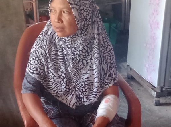 Buaya Sungai Way Semaka Serang Suwarni Saat Mencuci Baju