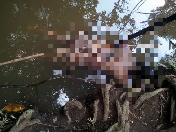 Mayat Anonim Terapung di Sungai Waygatel Gegerkan Warga Sindangsari