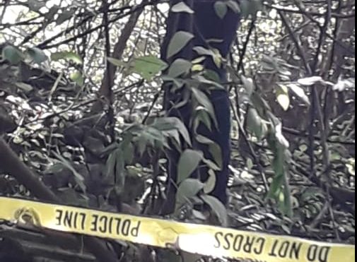 Istri Minta Cerai Joni Gantung Diri di Pohon Seri Lahan Bekas Bioskop Twentyone Sukaraja