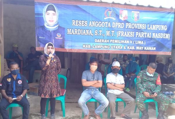 Potensial Jadi Lumbung Padi, Mardiana Sambangi Kelompok P3A Desa Merambung