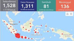 BNBP Akui Data Covid-19 Pusat Tidak Singkron Dengan Daerah