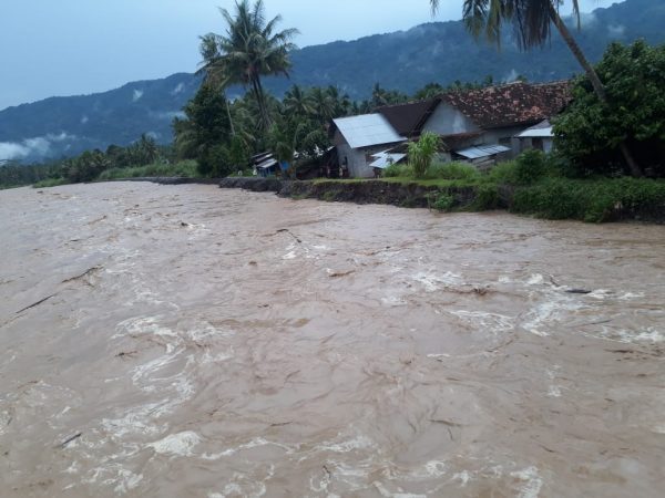 Pemerintah Tanggamus Pasang Patok Kayu Penahan Tanggul Jebol Way Semuong