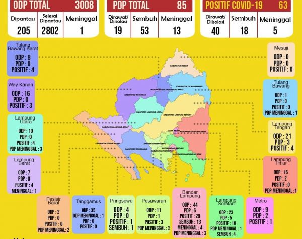 Gugus Tugas Covid-19 Provinsi Lampung Minta Tim Kota Bandar Lampung Prioritas Penanggulangan di 14 Kecamatan Zona Merah
