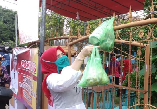 Bantu Warga Terdampak Covid-19, Winarni Galakkan Program SIGER Provinsi Lampung