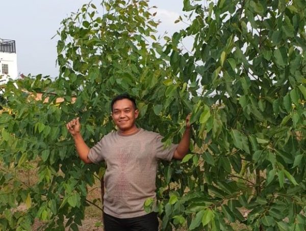 Dilaunching Kementan Inovasi Anti Virus Corona, Ternyata di Lampung Ada Petani Home Industri Minyak EUCALYPTUS