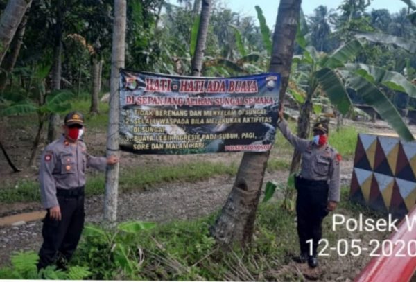 Polsek Wonosobo Pasang Himbau Waspada Buaya Muara Way Semaka