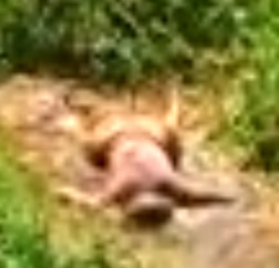 Mayat Wanita Anonim Gegerkan Warga Kelapa Tujuh