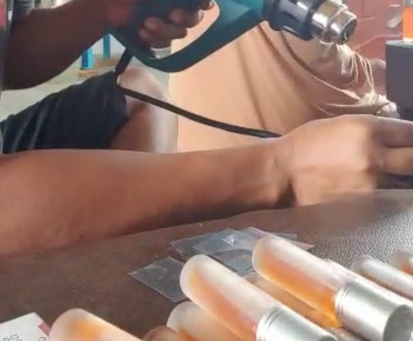 Pohon Anti Corona Eucalyptus Jenis Globulus Itu Ada di Lampung, Eko Akan Sumbang 50 Pic Untuk Gugus Tugas Lampung