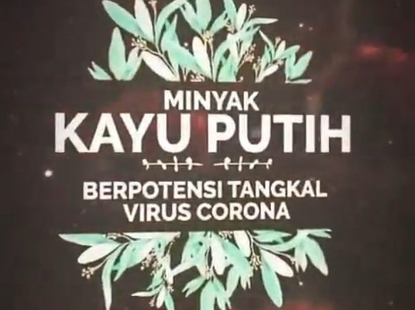 Ada di Lampung, Kementan Patenkan Produk Antivirus Corona Berbasis Tanaman Eucalyptus
