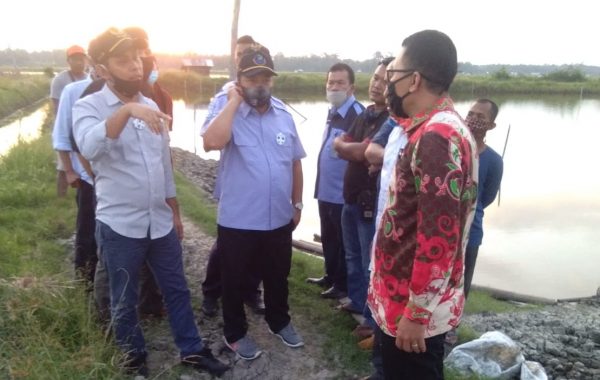 Dirjen Perikanan Budidaya KKP Akan Bangun Klaster Budidaya Udang di Kecamatan Ketapang