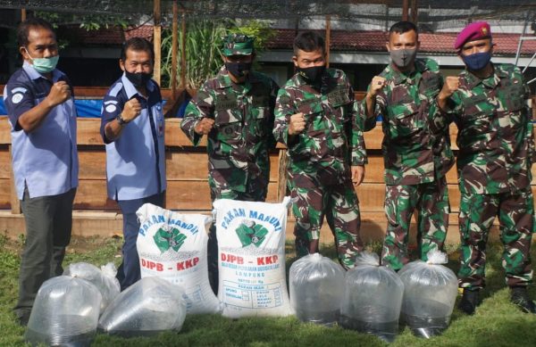 Sinergi Penanggulangan Covid-19 Brigif 4 MAR/BS Bersama BBPBL Lampung Kembangkan Lele