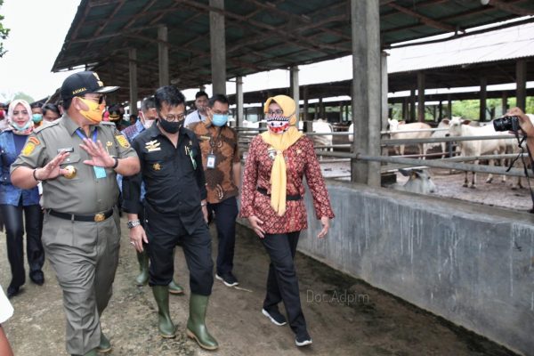 Menteri Pertanian Syahrul Yasin Limpo: Lampung Bisa Jadi Lumbung Ternak Nasional