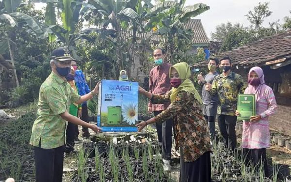 KWT Pringsewu Berhasil Kembangkan Budidaya Bawang Merah Dan Cabai Melalui Polybag