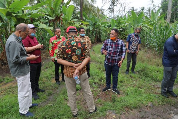 Minta Dukungan Ketua Komisi IV DPR RI Sudin, Nanang Ermanto Akan Bangun Nursery Perkebunan di Ibukota