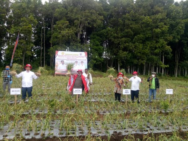Mentan Apresiasi Gubsu Jadikan Agraris Prioritas di Masa Pandemi Covid-19 Kabupaten Humbahas Jadi Sentra Bawang Putih dan Merah