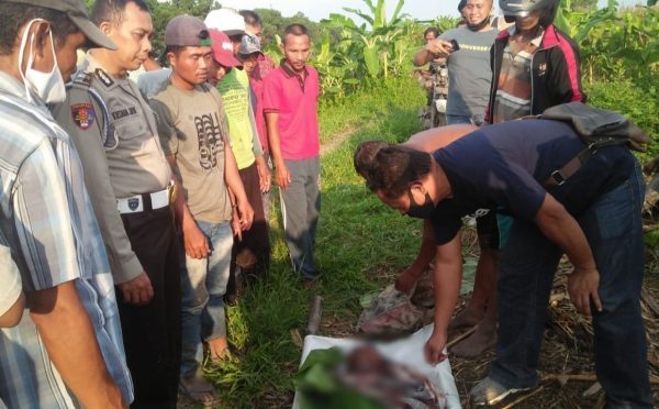 Pencari Rumput Tewas Ditembak Begal?