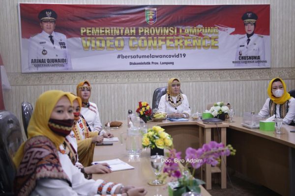 Riana Arinal Webinar Dekranas Seri 1 Dengan Ketua Umum Dekranas dan Ketua Harian